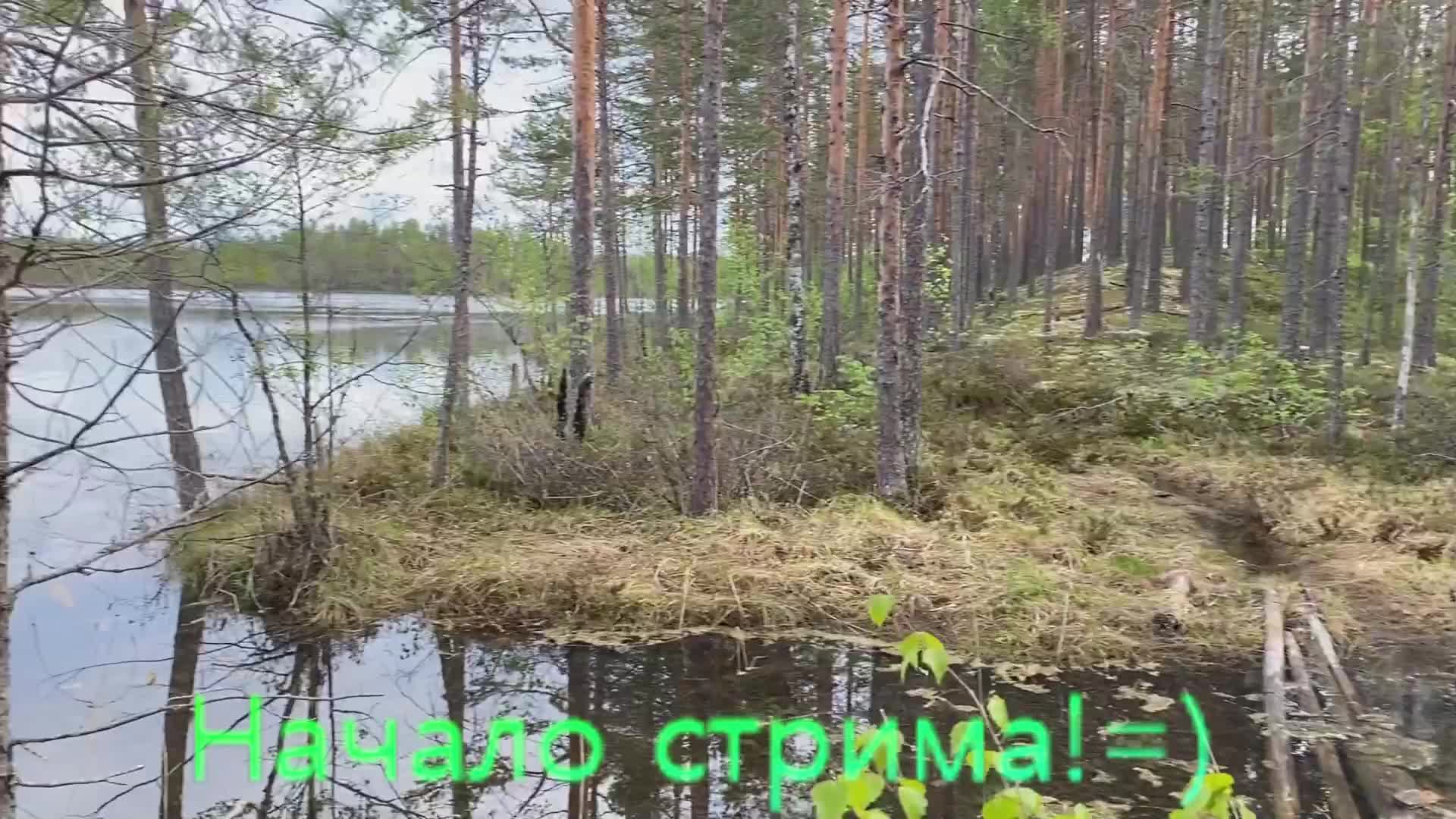 Стражи галактики, вроде как финал=)