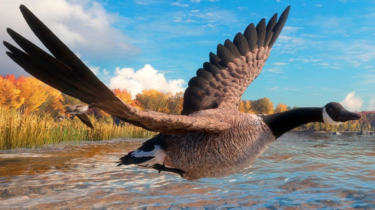 the hunter call of the wild СИМУЛЯТОР ОХОТЫ