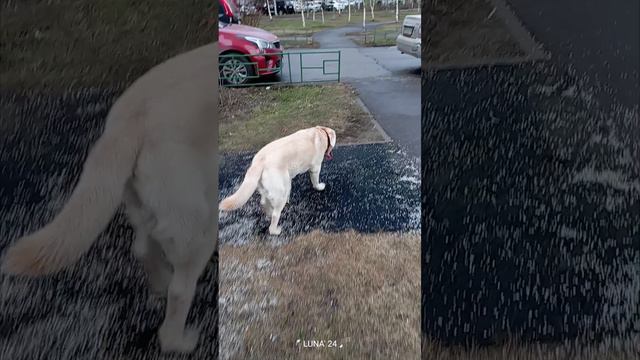 Что тут у Вас?