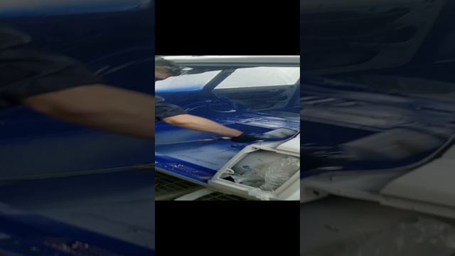 Окрас внутрянки