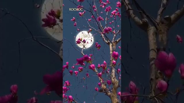 ⚡Любви Любви Любви