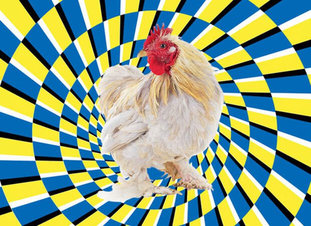 Момент перехода в глубокий транс ))