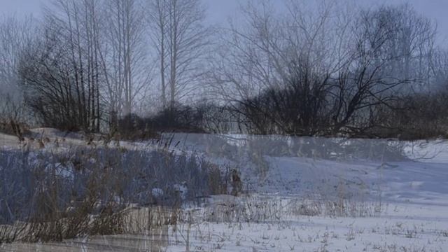 БАЛАКИРЕВ М.А. "ВТОРОЙ КОНЦЕРТ ДЛЯ ФОРТЕПИАНО С ОРКЕСТРОМ" (Фото Геннадия Володина (Рязань)).mp4