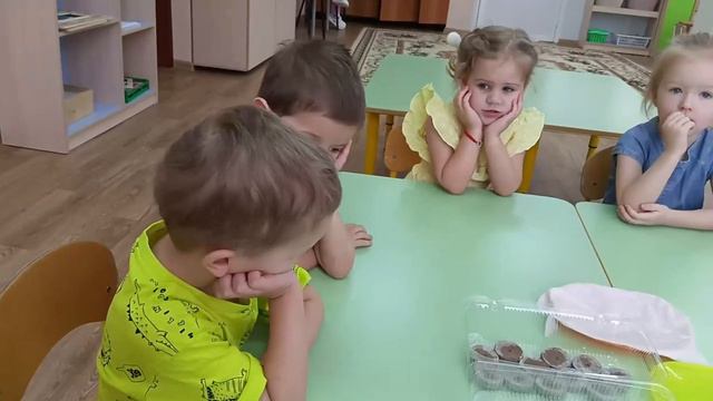 19 февраля  Огурцы