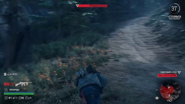 Days Gone (Жизнь после) орда 3