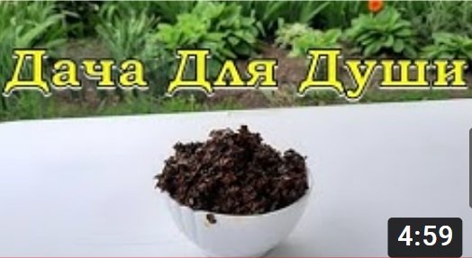 СПИТОЙ ЧАЙ - как удобрение на огороде???