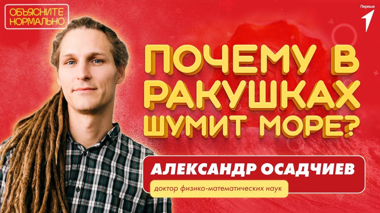 Проект «Объясните нормально». Одиннадцатая серия