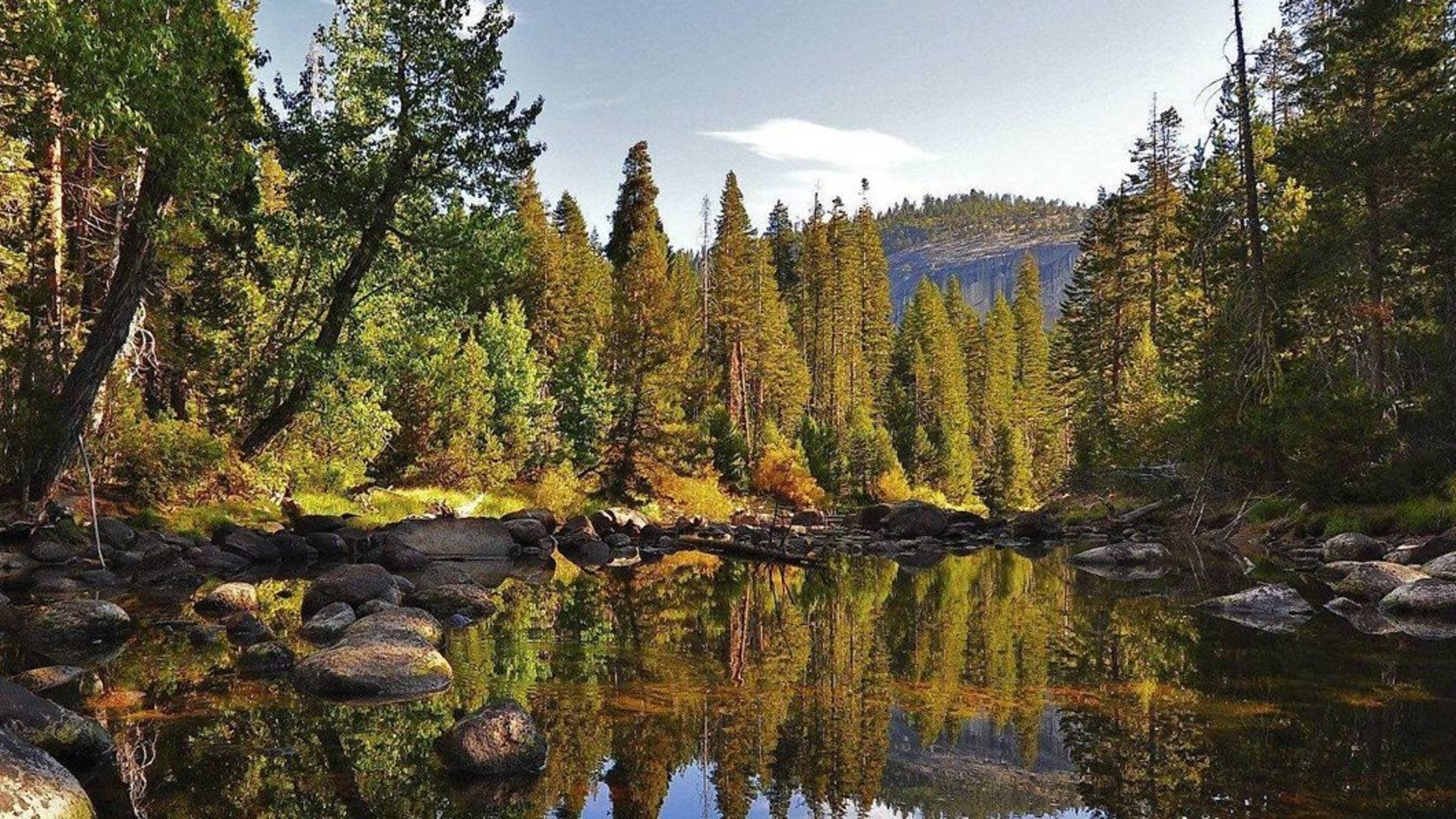 National Geographic: дикая природа России. Таежный край (2009)