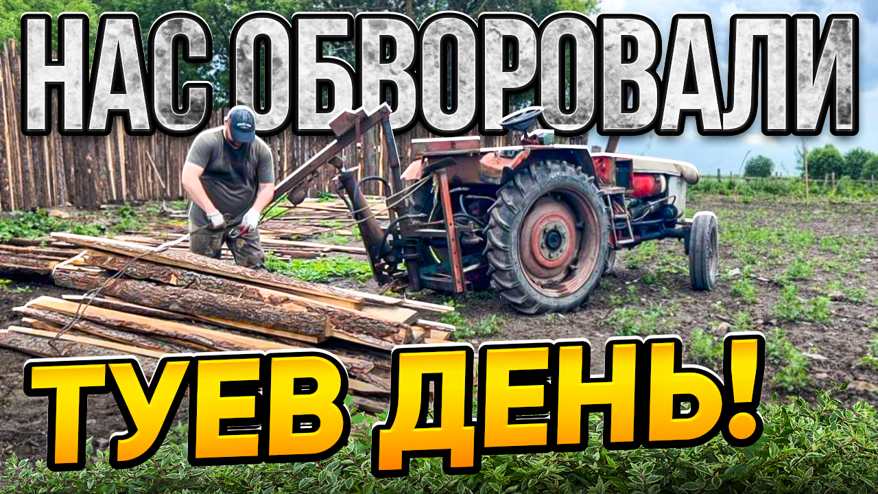 Первые растения и воровство на фазенде!