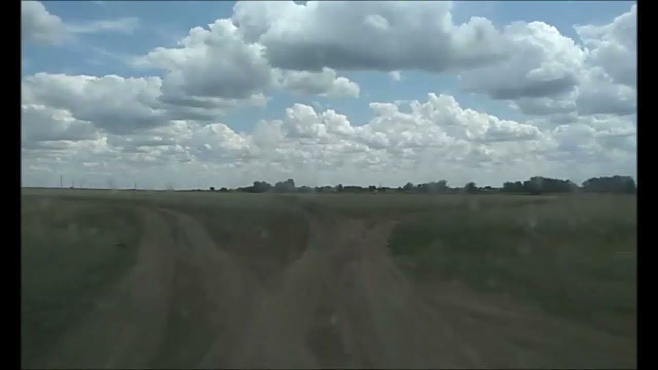 Едем по полям в Розовку Краснокутского района)