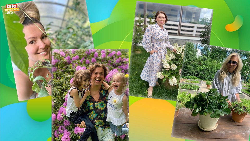 Вместо сцены на грядку! Звезды - садоводы и огородники