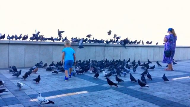 Набережная в Новороссийске • Море • Волны • Ветер • Голуби ~ Чёрное море ~