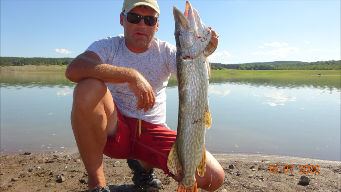 Щука в конце июля.Судак щука