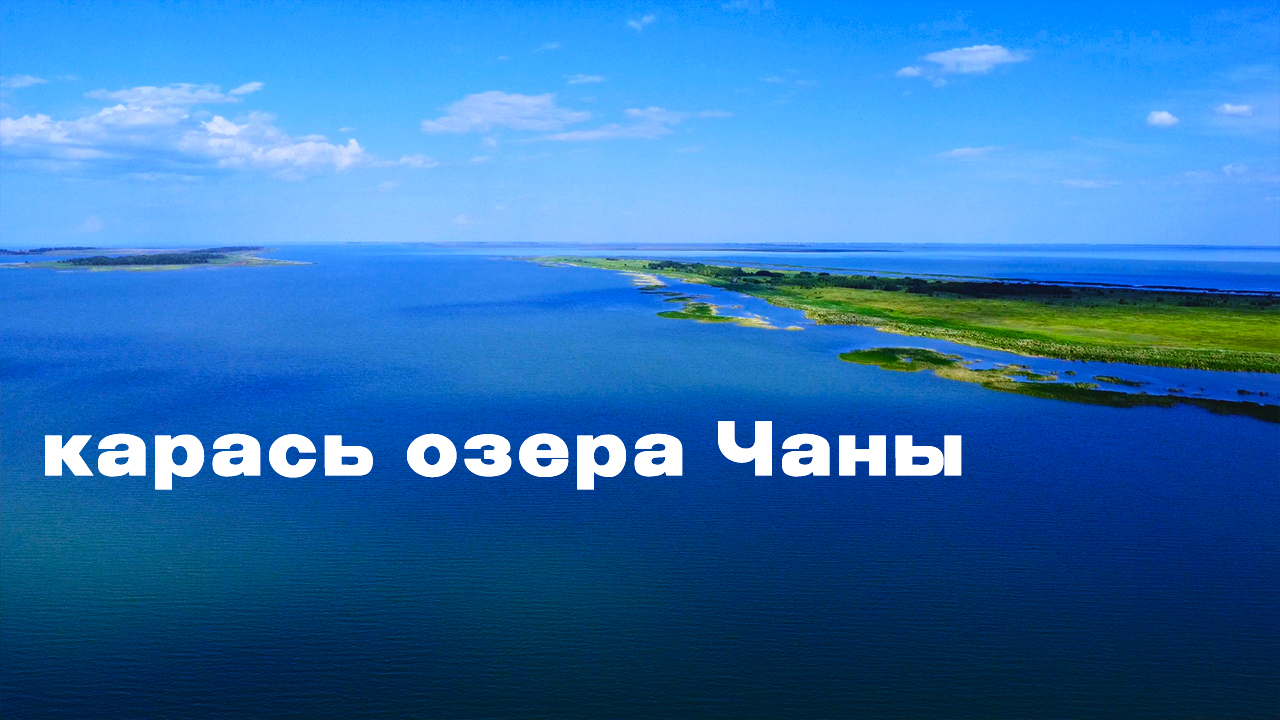 САЗАН. Карась. Путешествие на озеро ЧАНЫ