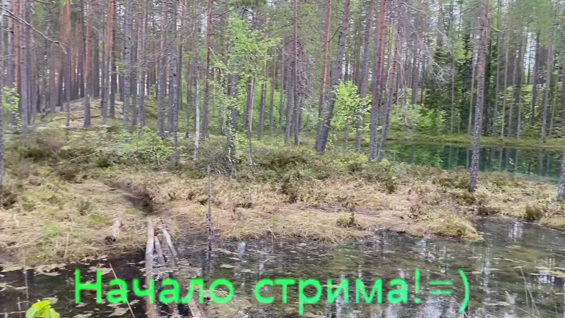 Забеги в Farlight 84