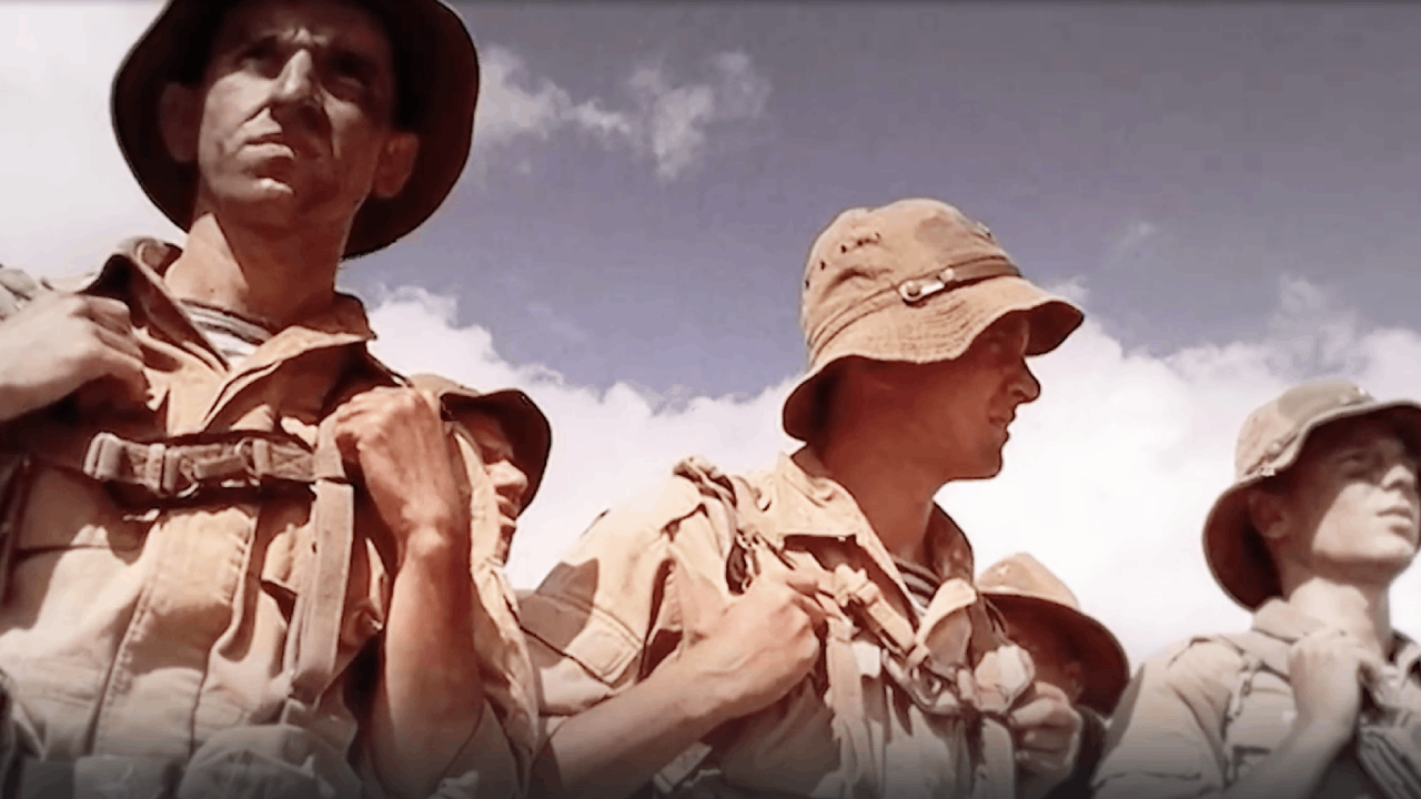 СМОТРИМ "МАЛАХОВА"! "СЛУЖИМ РОССИИ!" АРТИСТЫ-ГЕРОИ НА ПЕРЕДОВОЙ - СЕГОДНЯ В 16:30 // АНОНС