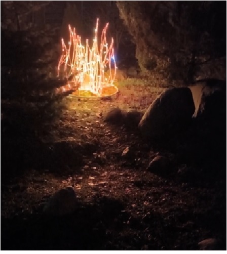 Сказочный волшебный  костер. #shorts