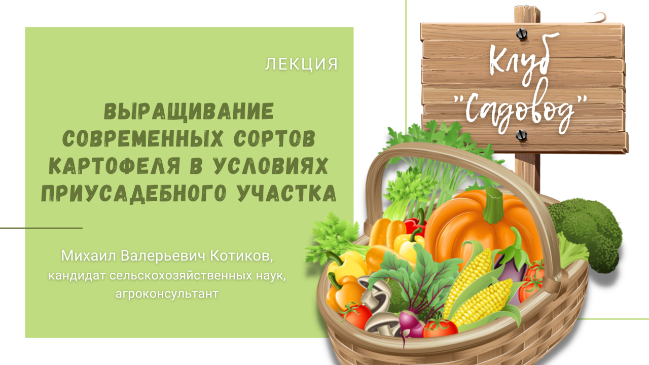 Лекция «Выращивание современных сортов картофеля в условиях приусадебного участка»