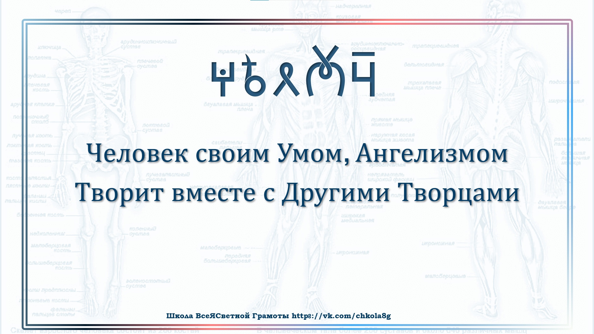 Челюсть. ВсеЯСветная Грамота