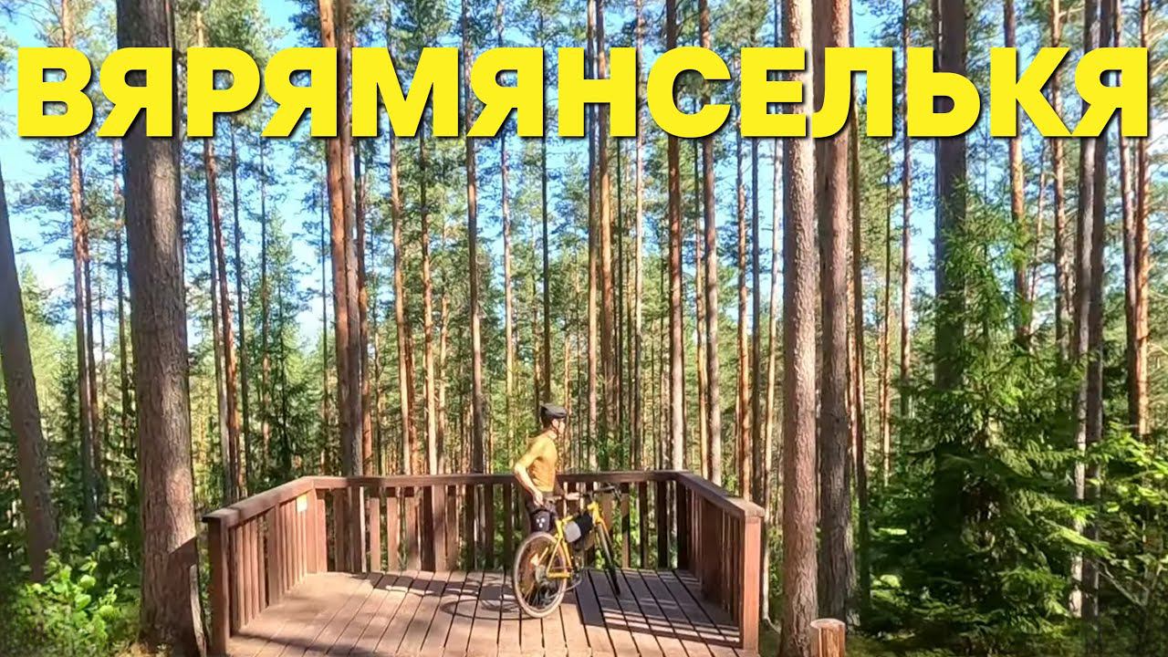 Гряда Вярямянселькя. Конец лета. На велосипеде | 27.08.2023