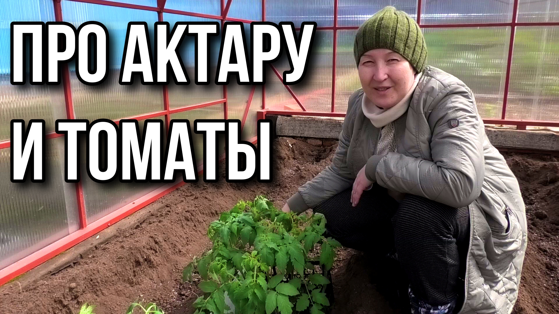 Минус обещают, а я сажаю томаты. Актара какой должна быть?