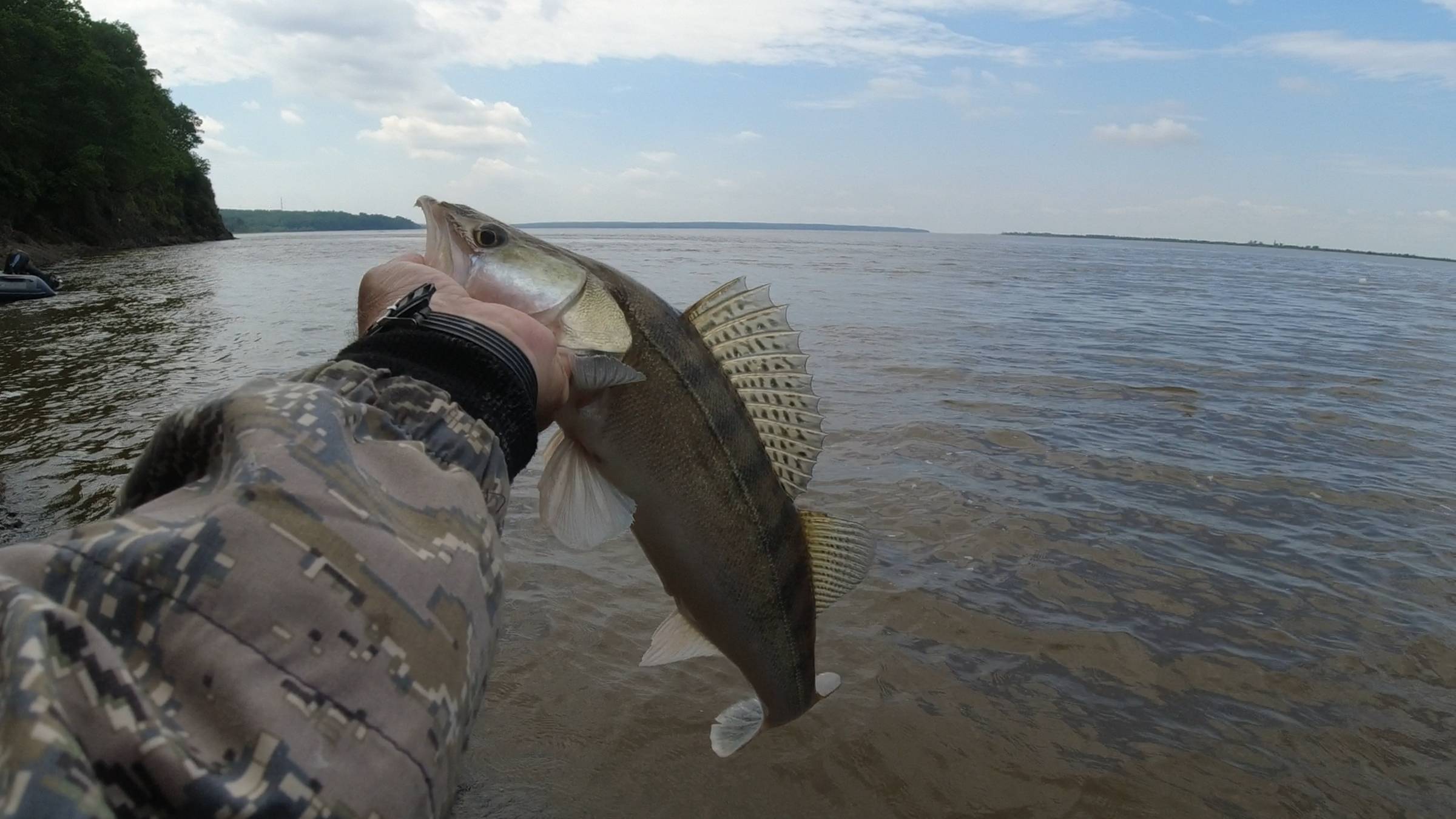 РЫБАЛКА НА РЕЗИНКУ 26.06.2024.