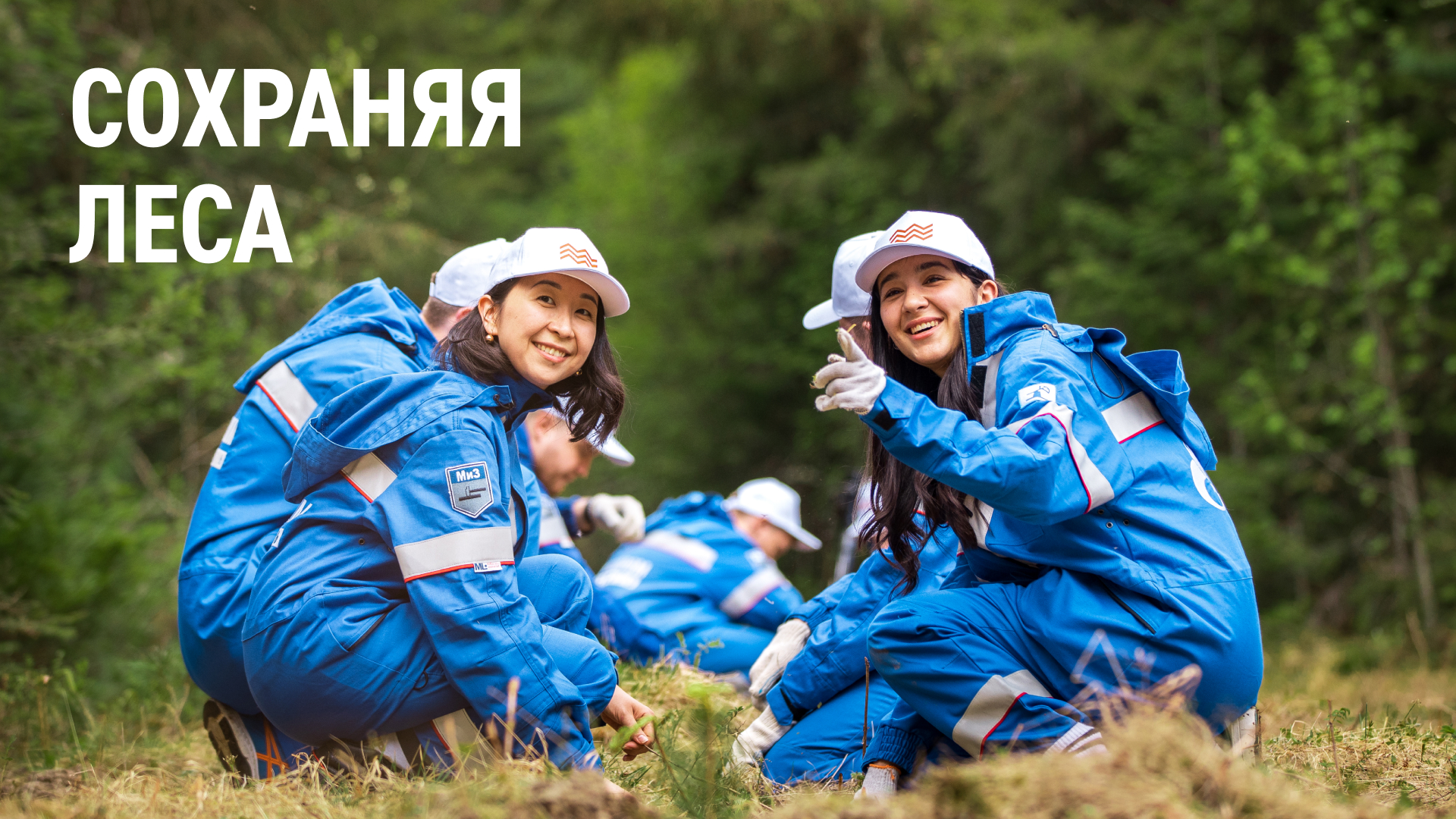 Как нефтяники помогают сохранять леса