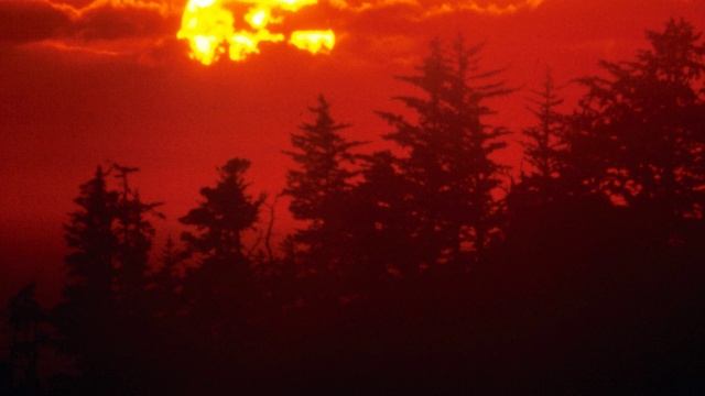 "Летний вечер" (Коренблит.  "Экология русского языка. Синтез слова и музыки". Караоке.