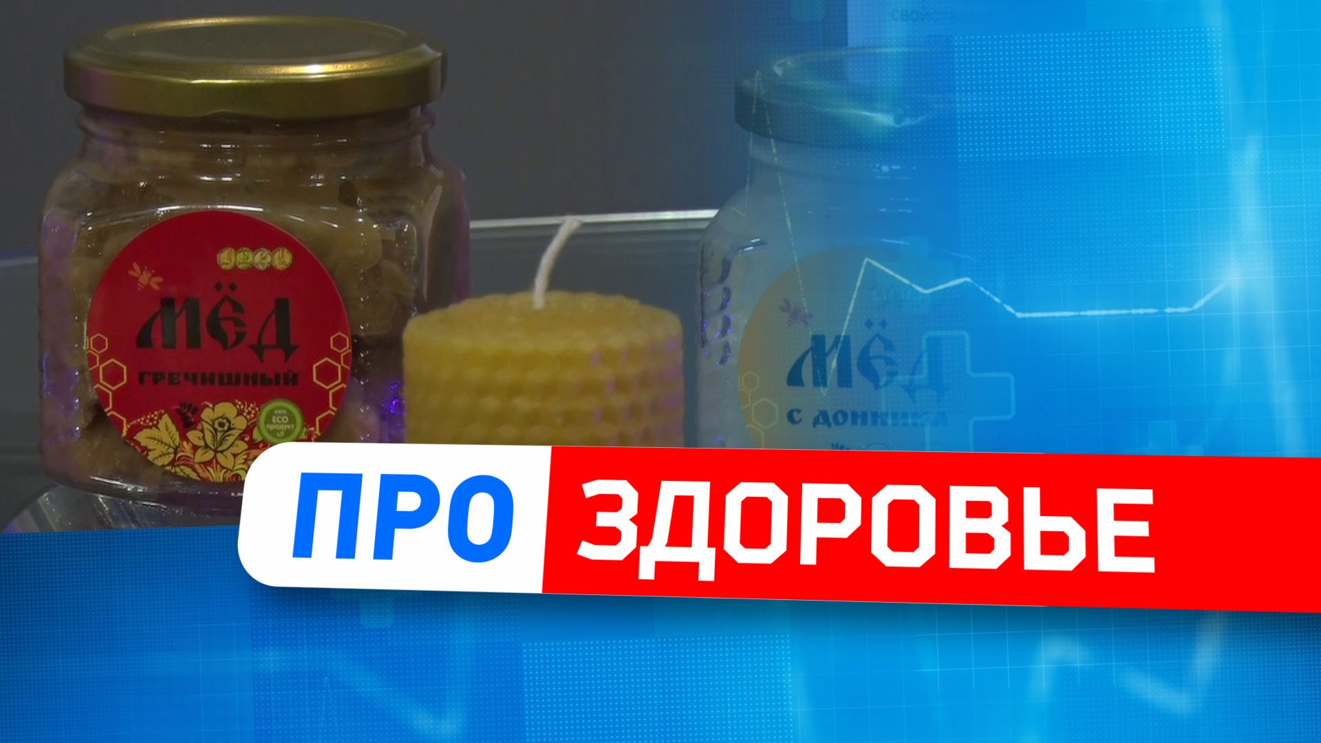 Польза медвежьего лакомства, ребята-закалята и выживание в экстремальных условиях