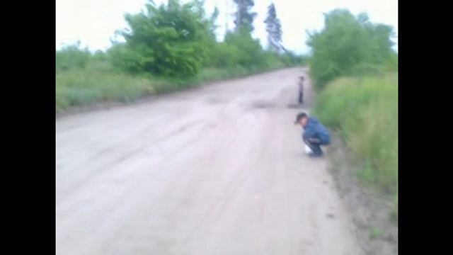 Коротаем время или поход⧸прогулка в лес на тихую охоту. Окраины Павлограда Днепропетровская область