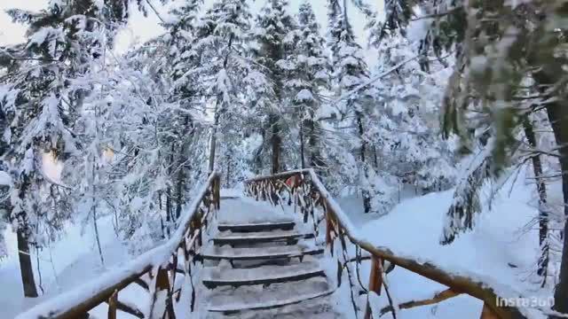 Карелия . Зимние каникулы 2024. Снежная сказка в формате 360.