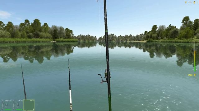 Белоглазка, трофей 1,351 кг, игра Трофейная рыбалка 2