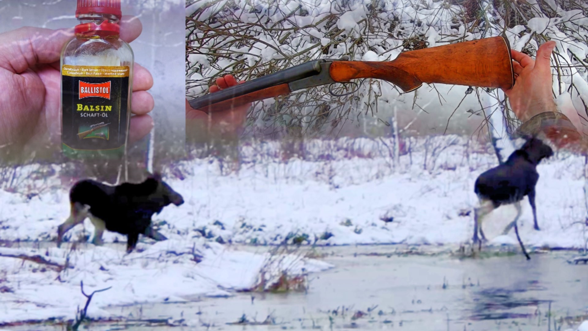 Загонная ОХОТА 2023. ЗВЕРЬЁ и BALSIN