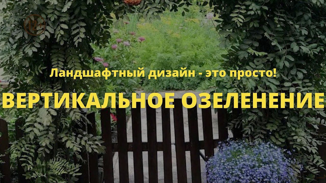 Вертикальное озеленение // Ландшафтный дизайн - это просто! / Сезон 1 //  Серия 9