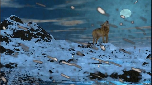 Вьюга Шум ветра зимой и вой волка ночью