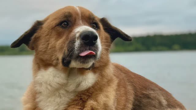 Шумак 2024. Часть 1. #поход #восточныесаяны #шумак