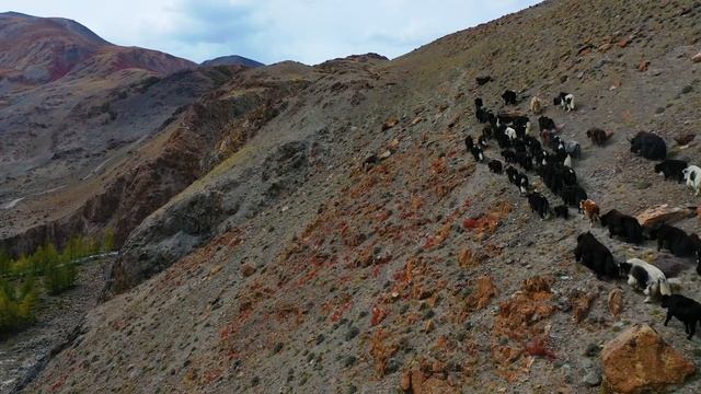 Алтай. Самые красивые места.