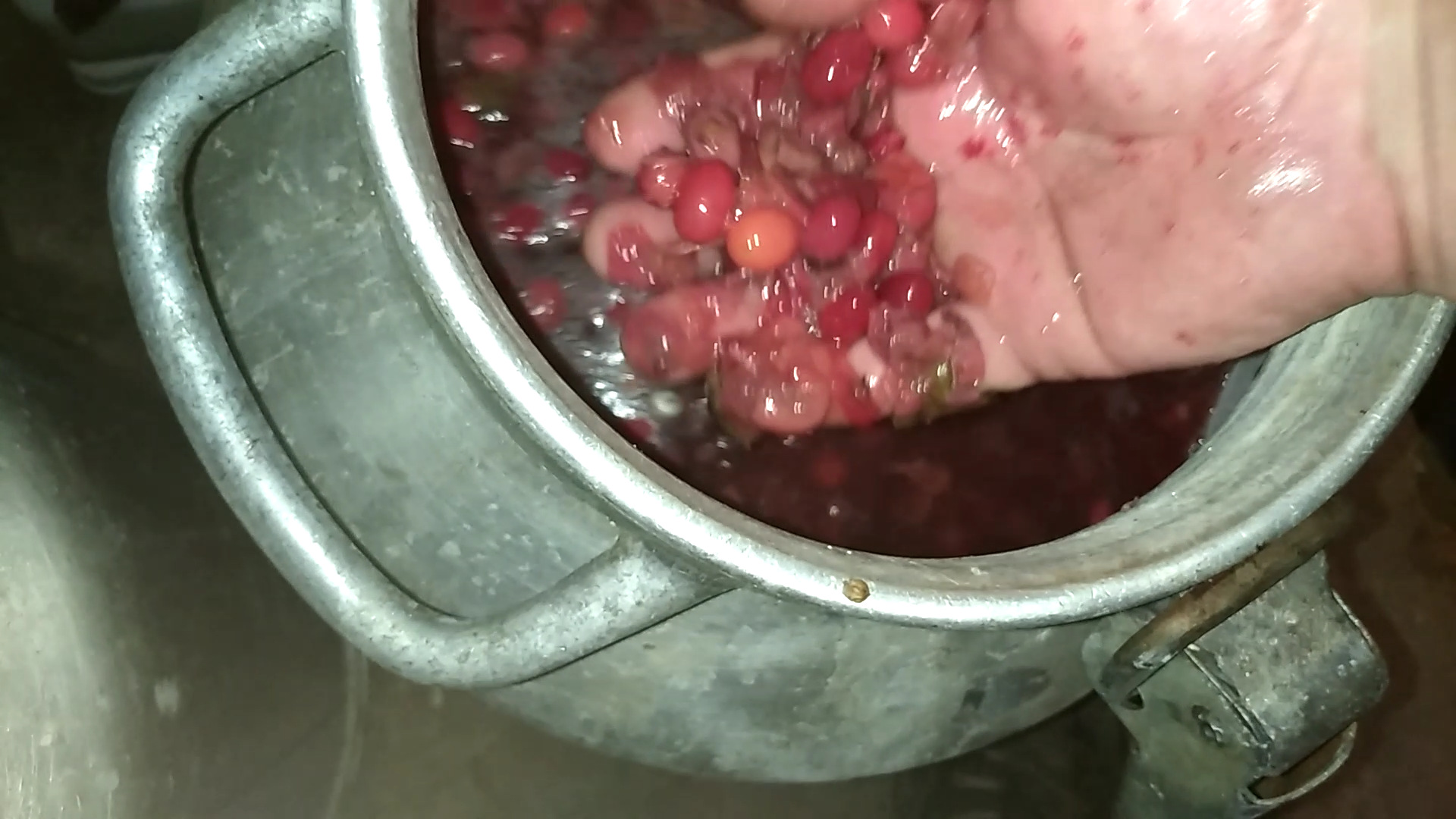 Как сделать вино из Кизила? сложно но можно, и очень вкусно!!!