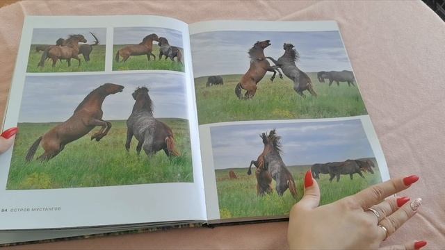 остров Мустангов