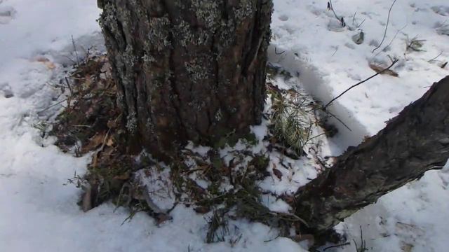 Вспомогательные способы ориентирования. Часть 7