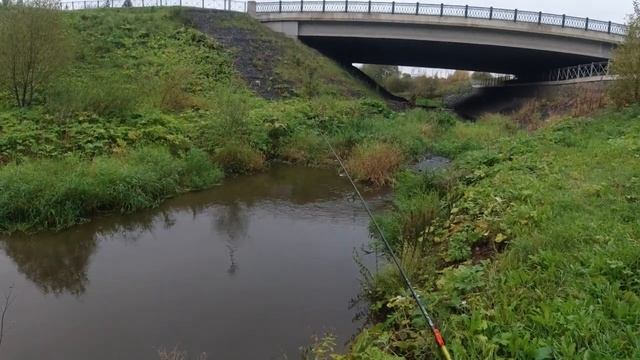 #009 #Мормышинг  В этом ручье полно рыбы!!!.mp4