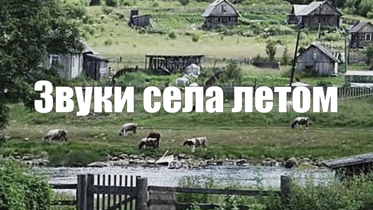 Звук природы в летний день на селе