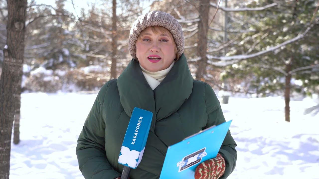 Погода в Хабаровске // Крещенских морозов не будет