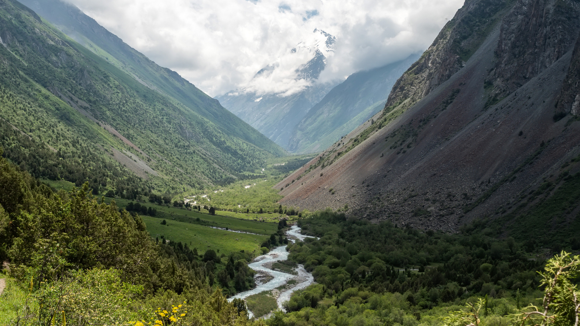 По грибы в Аламедин