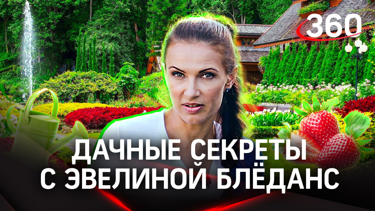 Птицы не вернутся в ваш сад! Расскажем способ | Эвелина Блёданс. «Дача 360»