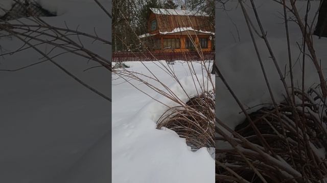 Беда на даче