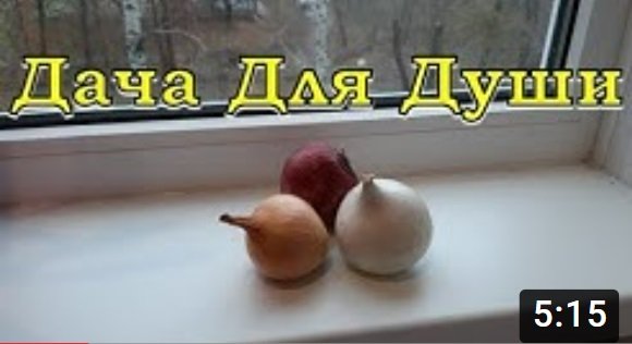 Нюансы и условия хранения ЛУКА в квартире???