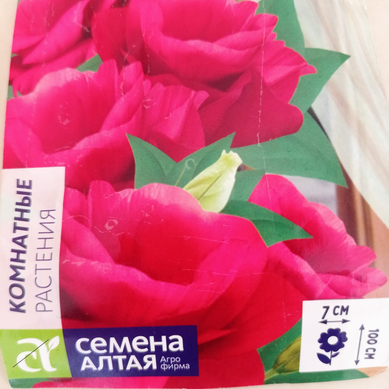 ЭУСТОМА ЯНВАРСКАЯ И ФЕВРАЛЬСКАЯ!#эустома#эустомарассада#эустомавыращиваниеизсемян#эустомаизсемян#лиз