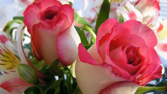 12 Мужское и женское здоровье. Медитация 12