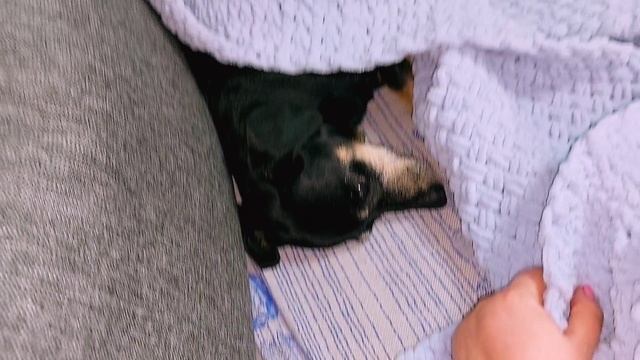 Плед из ализе пуффи.